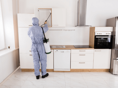About North Bend Quarterly Pest Control - quarterly pest control experts in North Bend