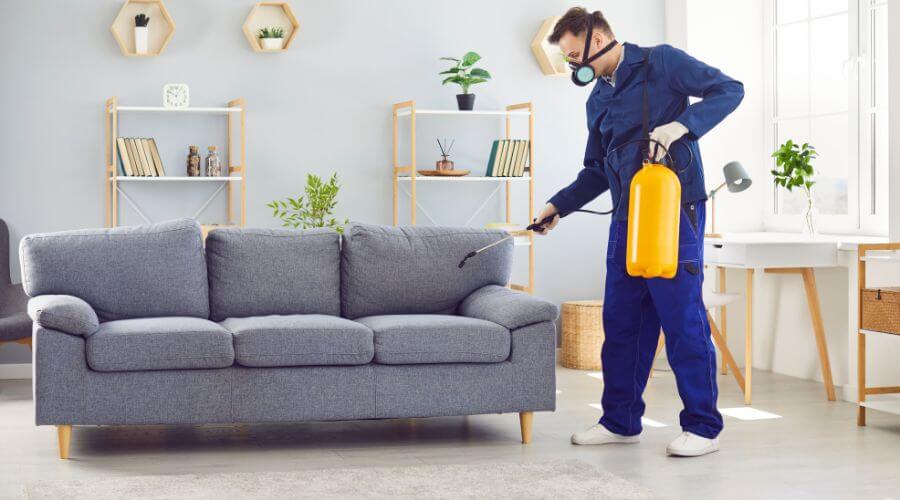 Why choose North Bend Quarterly Pest Control for quarterly pest control in North Bend